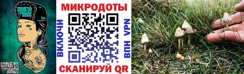 Галлюциногенные грибы прущие грибы Никольское